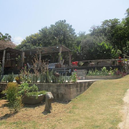 넬스프리트 Leopard Tree Retreat 빌라 외부 사진