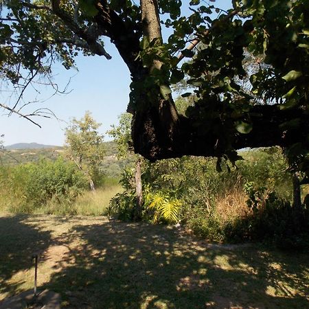 넬스프리트 Leopard Tree Retreat 빌라 외부 사진