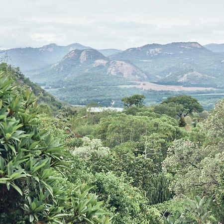 넬스프리트 Leopard Tree Retreat 빌라 외부 사진