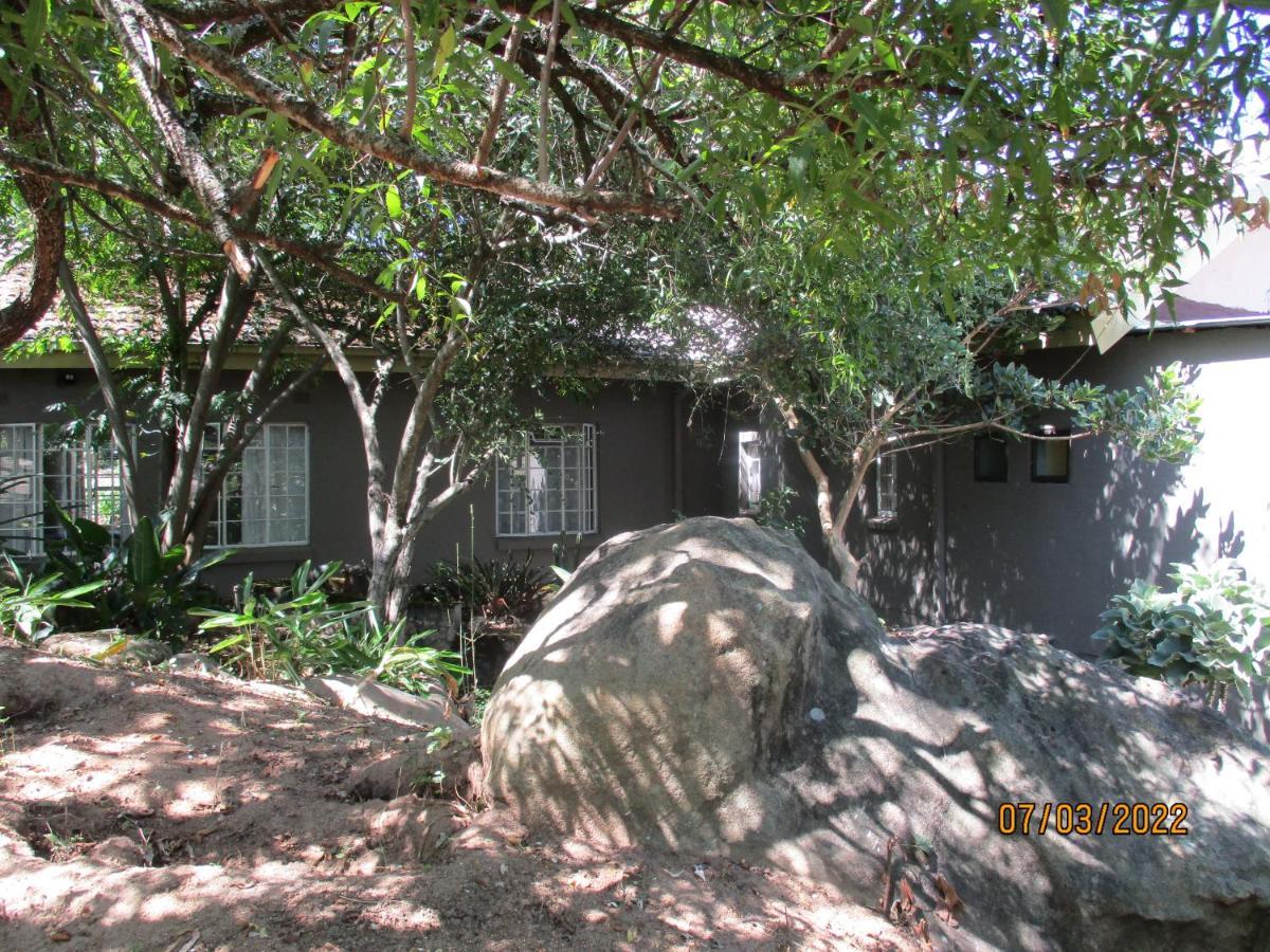 넬스프리트 Leopard Tree Retreat 빌라 외부 사진
