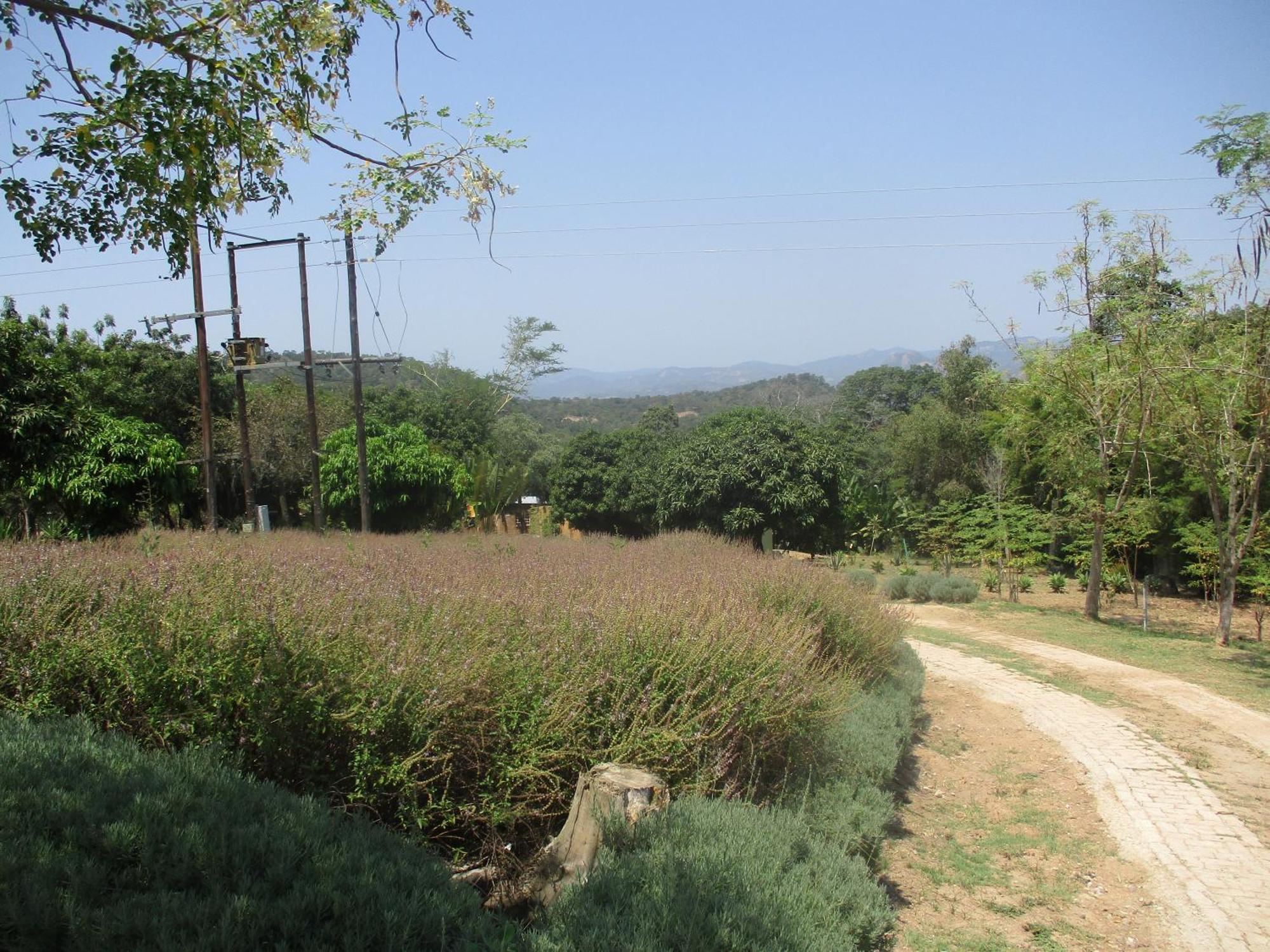 넬스프리트 Leopard Tree Retreat 빌라 외부 사진