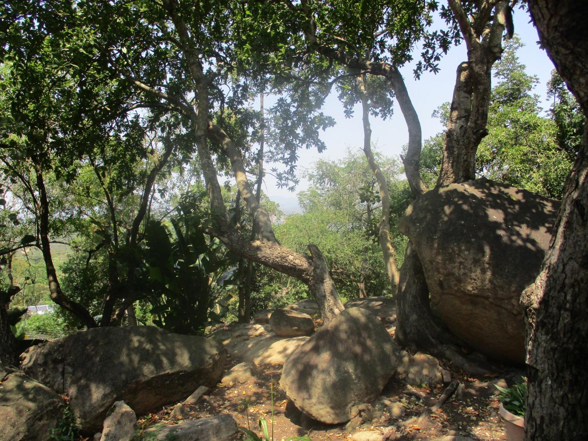 넬스프리트 Leopard Tree Retreat 빌라 외부 사진