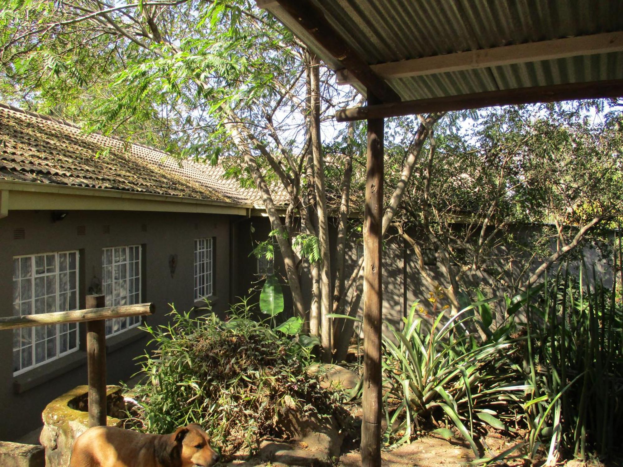 넬스프리트 Leopard Tree Retreat 빌라 외부 사진