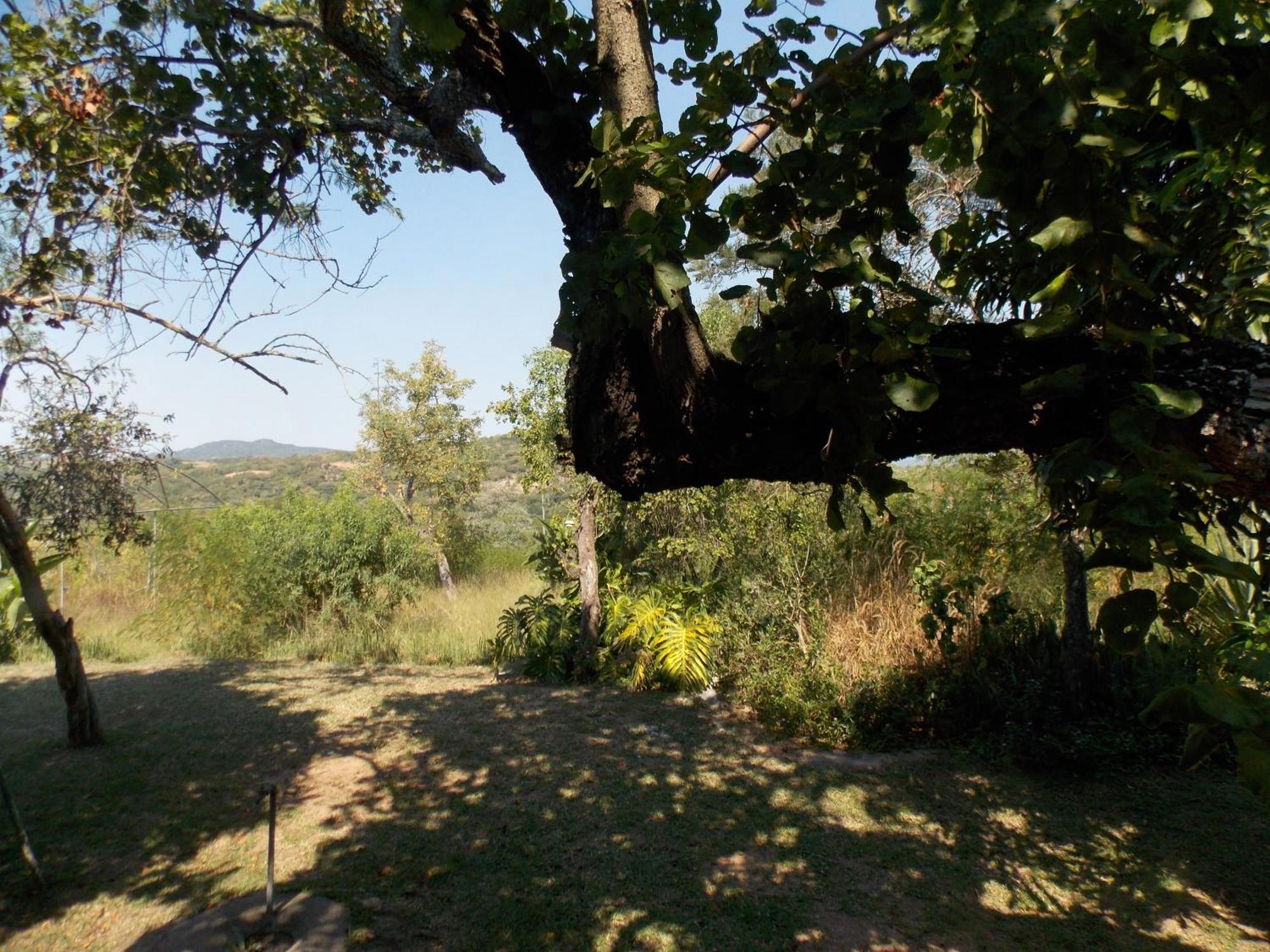 넬스프리트 Leopard Tree Retreat 빌라 외부 사진